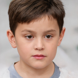 Neutral white child male with short  brown hair and brown eyes