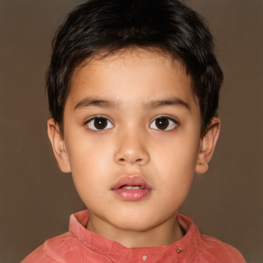 Neutral white child male with short  brown hair and brown eyes