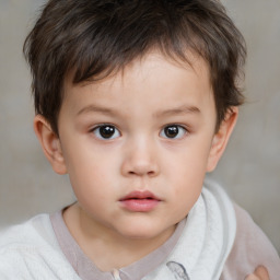 Neutral white child male with short  brown hair and brown eyes