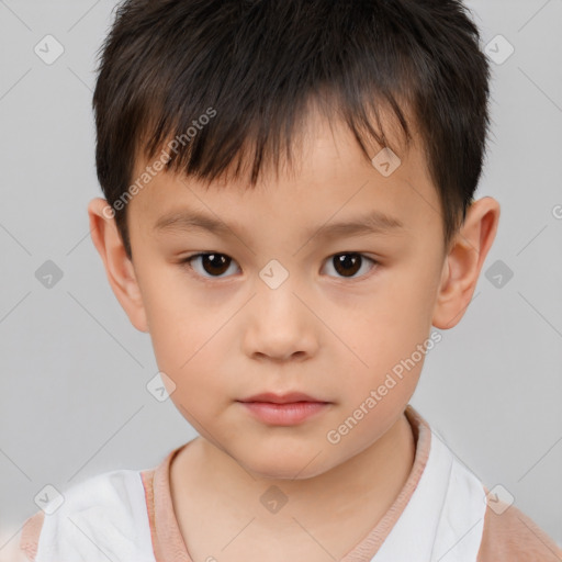 Neutral white child male with short  brown hair and brown eyes