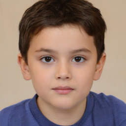 Neutral white child male with short  brown hair and brown eyes