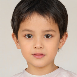 Neutral white child male with short  brown hair and brown eyes