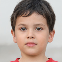 Neutral white child male with short  brown hair and brown eyes