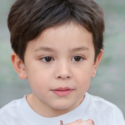 Neutral white child male with short  brown hair and brown eyes