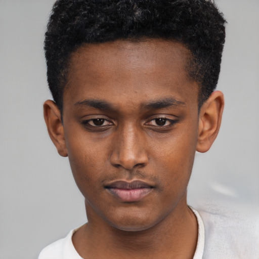 Neutral black young-adult male with short  black hair and brown eyes