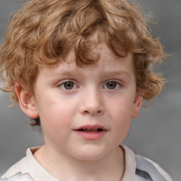 Neutral white child male with short  brown hair and grey eyes