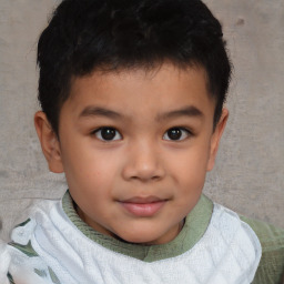 Joyful white child male with short  brown hair and brown eyes