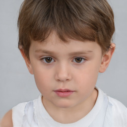 Neutral white child male with short  brown hair and brown eyes