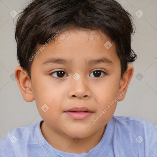 Neutral white child male with short  brown hair and brown eyes