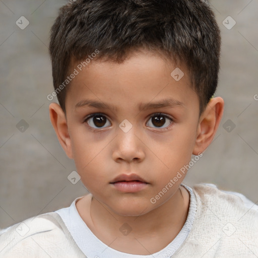 Neutral white child male with short  brown hair and brown eyes