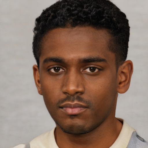 Neutral black young-adult male with short  black hair and brown eyes