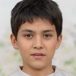 Neutral white child male with short  brown hair and brown eyes