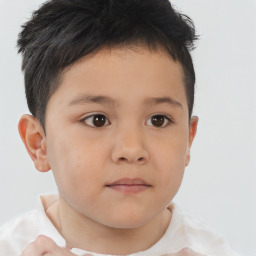 Neutral white child male with short  brown hair and brown eyes