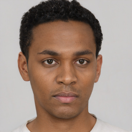 Neutral black young-adult male with short  black hair and brown eyes