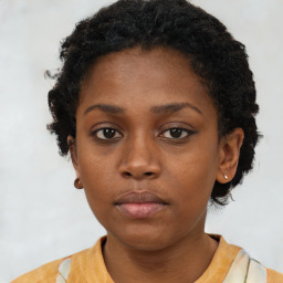 Neutral black young-adult female with short  brown hair and brown eyes