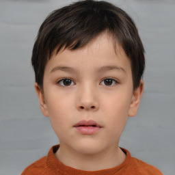 Neutral white child male with short  brown hair and brown eyes