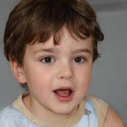 Joyful white child male with short  brown hair and brown eyes