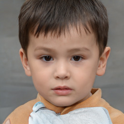 Neutral white child male with short  brown hair and brown eyes