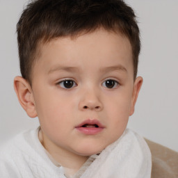 Neutral white child male with short  brown hair and brown eyes