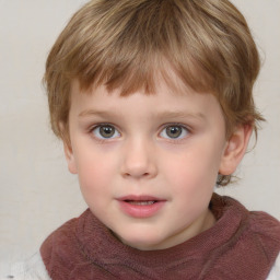 Neutral white child male with short  brown hair and grey eyes