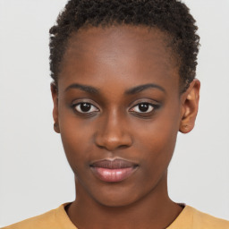 Neutral black young-adult female with short  brown hair and brown eyes