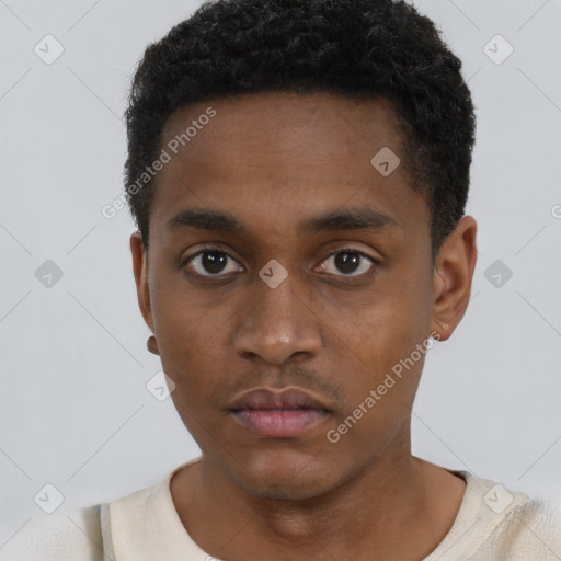 Neutral black young-adult male with short  black hair and brown eyes