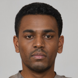 Neutral black young-adult male with short  black hair and brown eyes