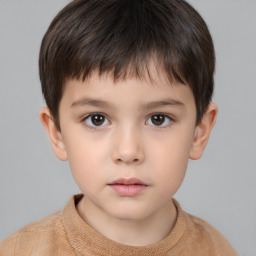 Neutral white child male with short  brown hair and brown eyes