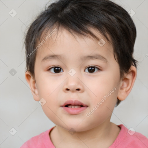 Neutral white child male with short  brown hair and brown eyes