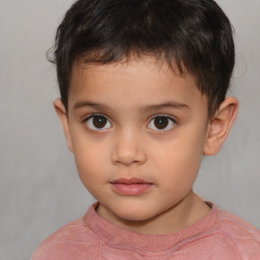 Neutral white child male with short  brown hair and brown eyes