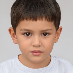 Neutral white child male with short  brown hair and brown eyes