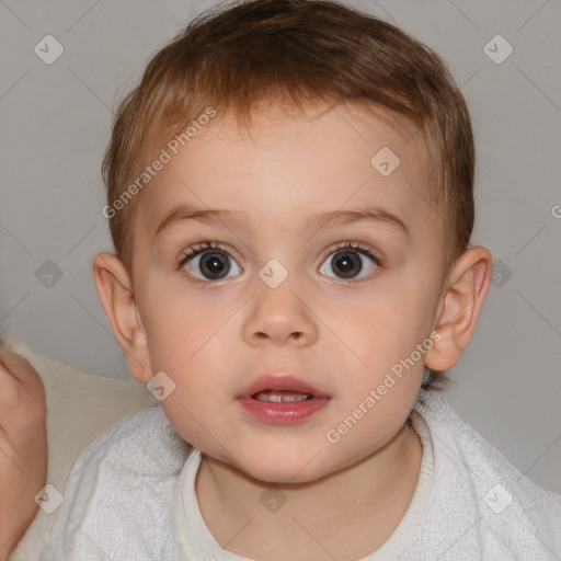 Neutral white child male with short  brown hair and brown eyes