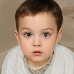 Neutral white child male with short  brown hair and brown eyes