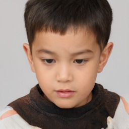 Neutral white child male with short  brown hair and brown eyes