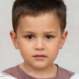 Neutral white child male with short  brown hair and brown eyes