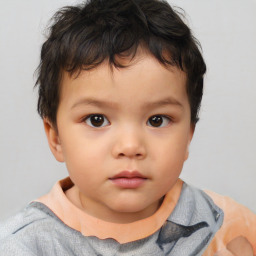 Neutral asian child male with short  brown hair and brown eyes