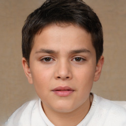 Neutral white child male with short  brown hair and brown eyes