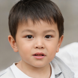 Neutral white child male with short  brown hair and brown eyes