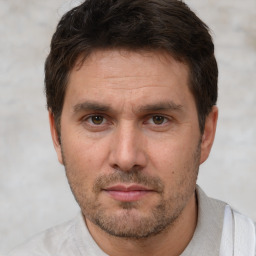 Neutral white adult male with short  brown hair and brown eyes