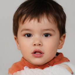 Neutral white child male with short  brown hair and brown eyes