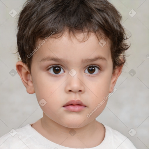 Neutral white child male with short  brown hair and brown eyes