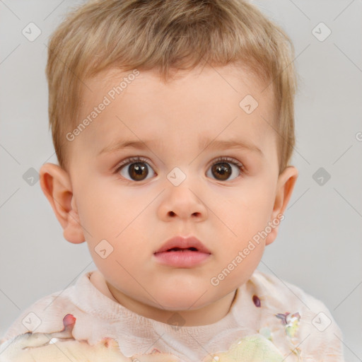 Neutral white child male with short  brown hair and brown eyes