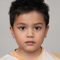 Neutral white child male with short  brown hair and brown eyes