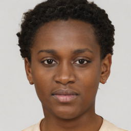 Neutral black young-adult female with short  brown hair and brown eyes