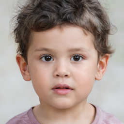 Neutral white child male with short  brown hair and brown eyes