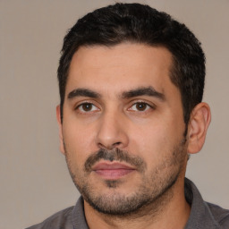 Neutral white young-adult male with short  black hair and brown eyes