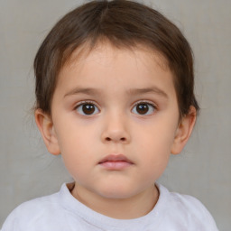 Neutral white child female with short  brown hair and brown eyes