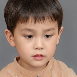 Neutral white child male with short  brown hair and brown eyes