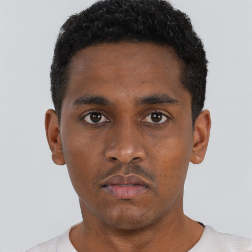 Neutral black young-adult male with short  black hair and brown eyes