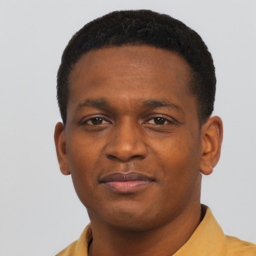 Joyful black young-adult male with short  black hair and brown eyes